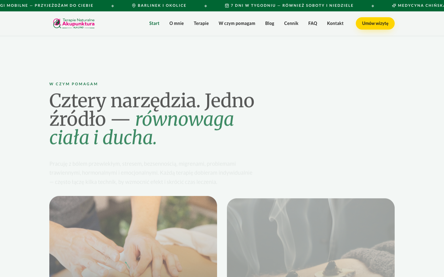Akupunktura Terapie Naturalne screenshot 2