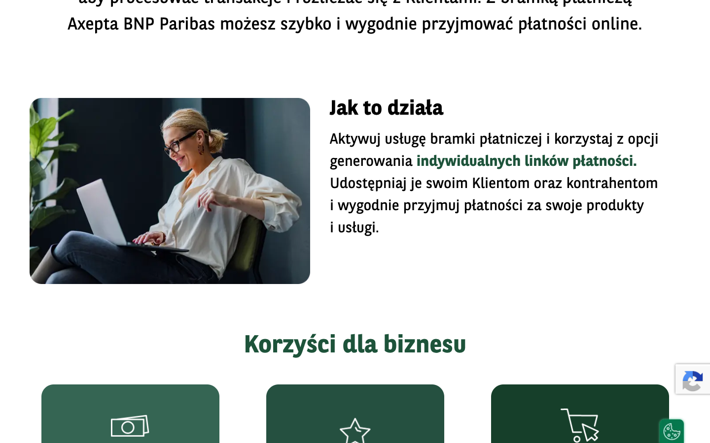 BNP Paribas Axepta - Linki płatnicze screenshot 2